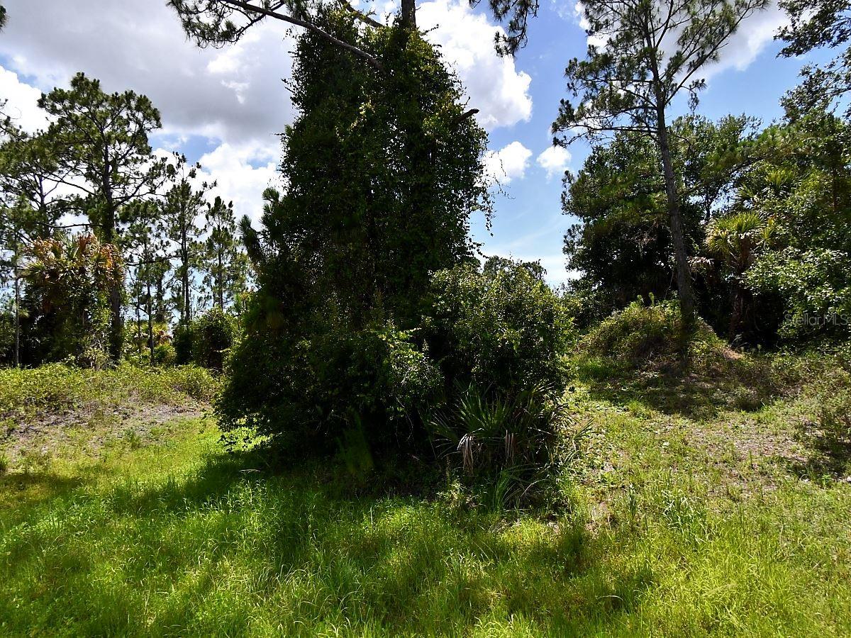 ABDELLA LN, NORTH PORT, FL