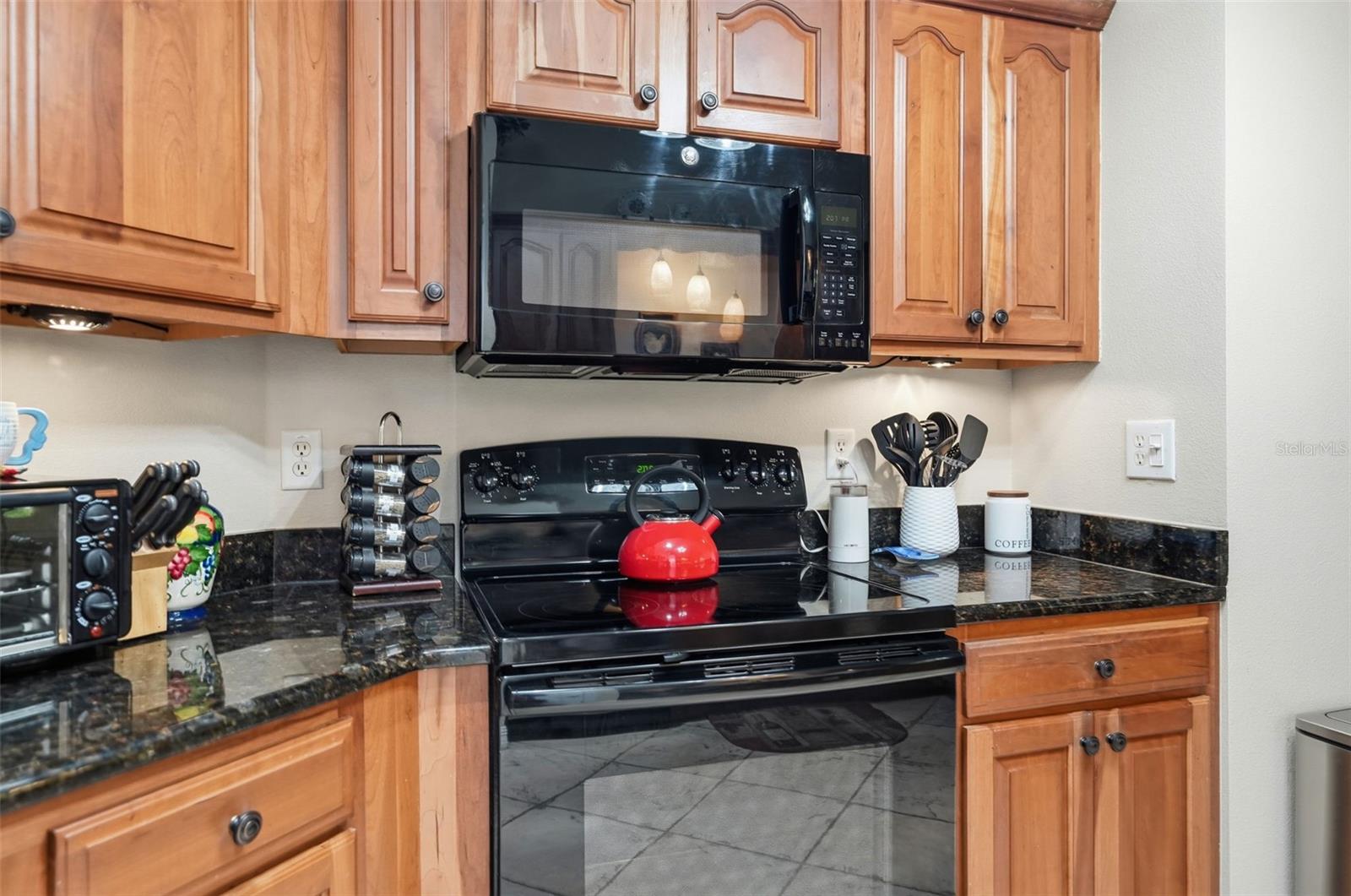 10340 BUNCOMBE WAY, SAN ANTONIO, FL — photo 20