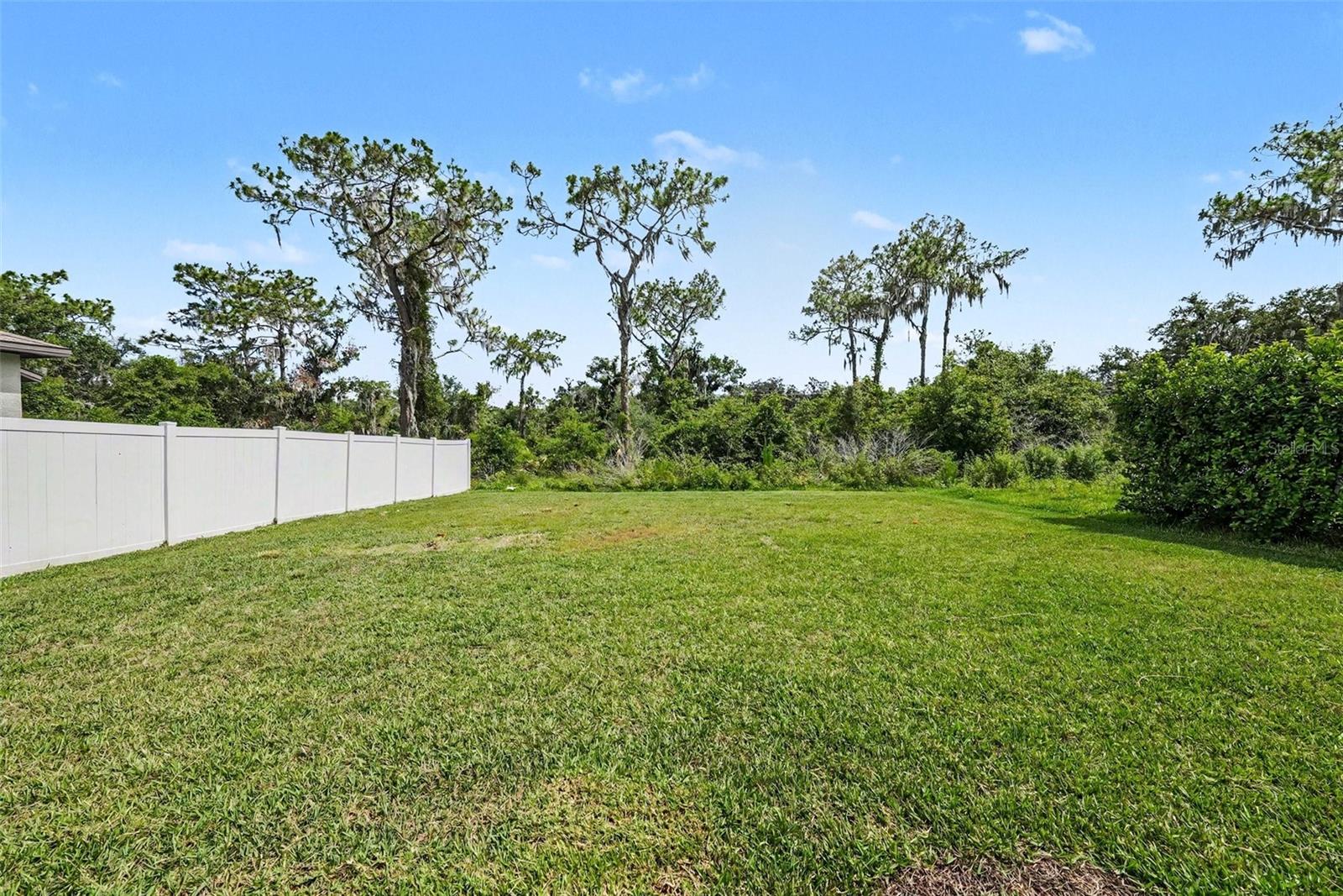 12961 WILDFLOWER MEADOW DR, RIVERVIEW, FL — photo 32