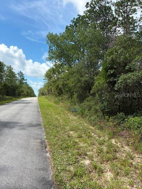 TBA SW WINDING HILLS RD, DUNNELLON, FL — photo 3