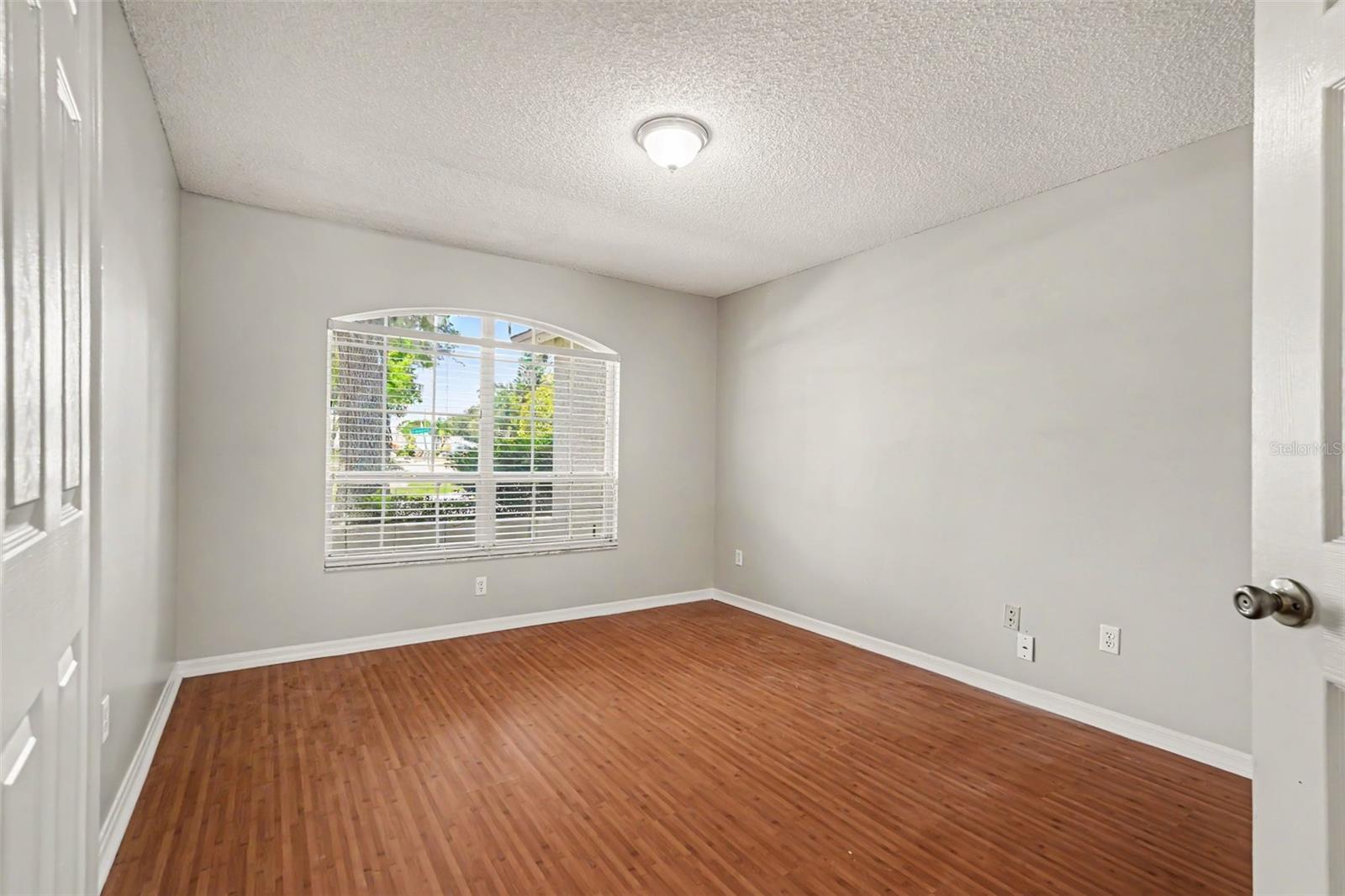 2909 STARMOUNT DR, VALRICO, FL — photo 16