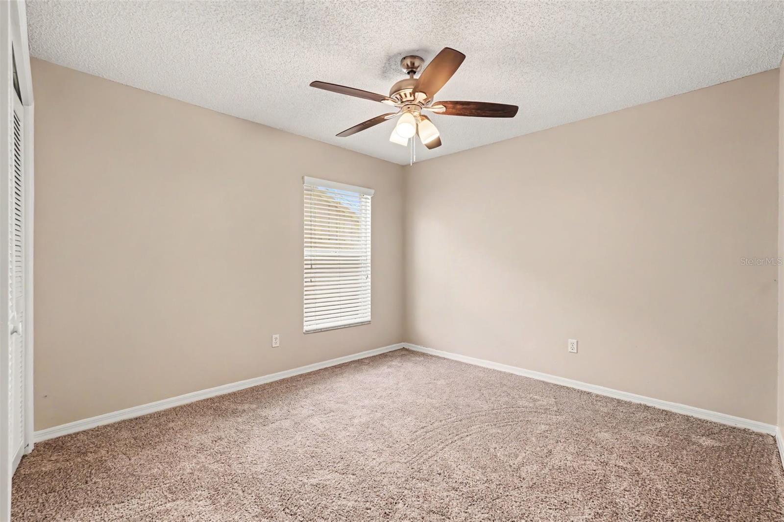 2909 STARMOUNT DR, VALRICO, FL — photo 22