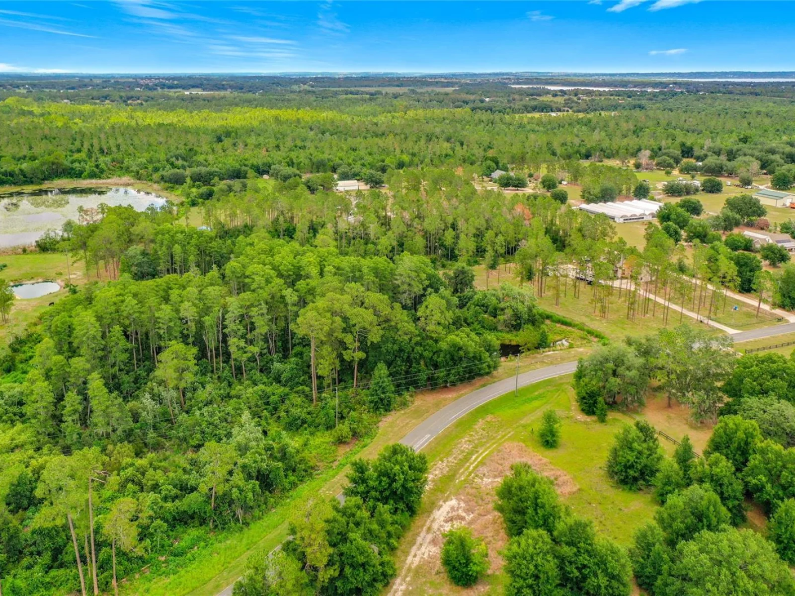 GREEN SWAMP RD, CLERMONT, FL — photo 10