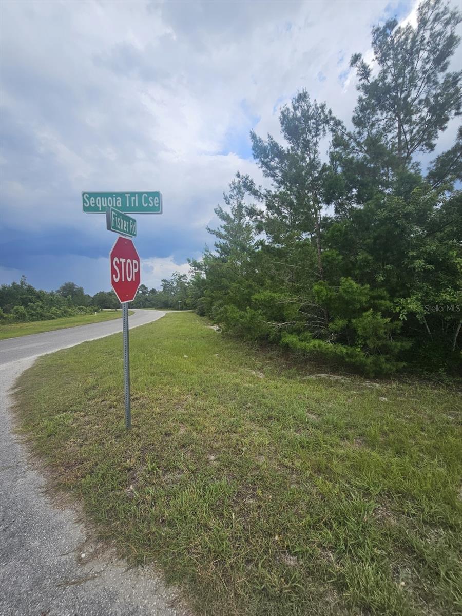 Lot 1 FISHER RD, OCKLAWAHA, FL — photo 3