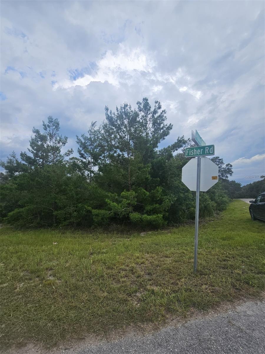 Lot 1 FISHER RD, OCKLAWAHA, FL