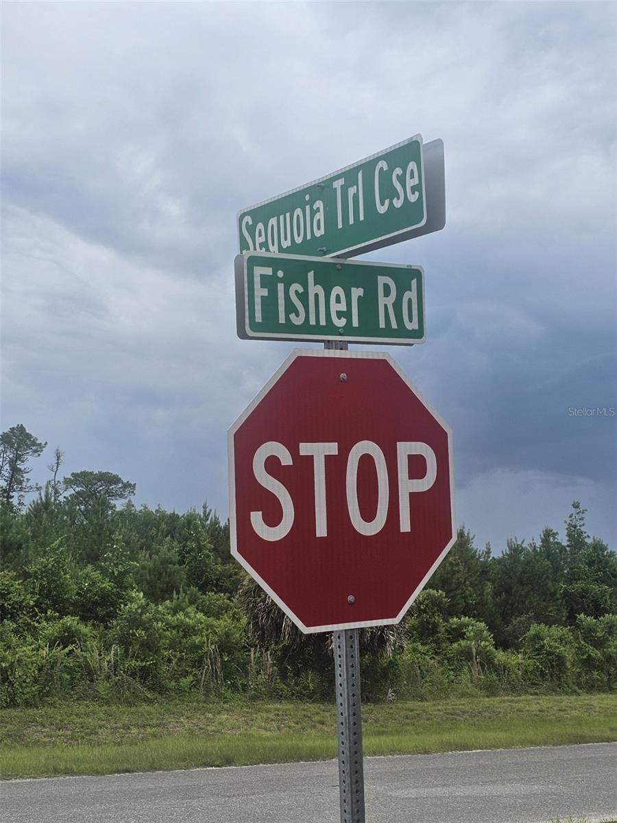 Lot 1 FISHER RD, OCKLAWAHA, FL — photo 2