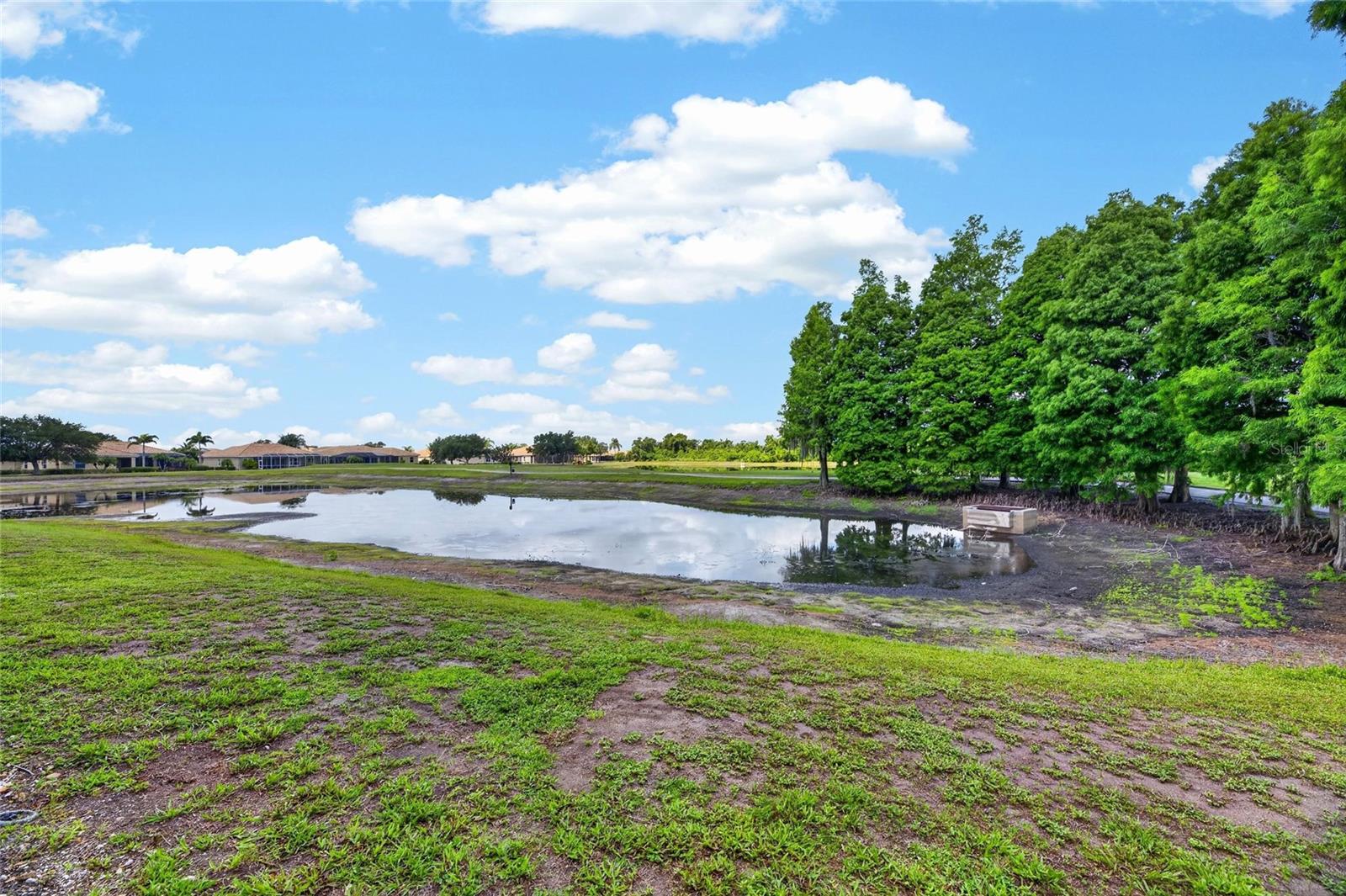 1423 EMERALD DUNES DR, SUN CITY CENTER, FL — photo 25
