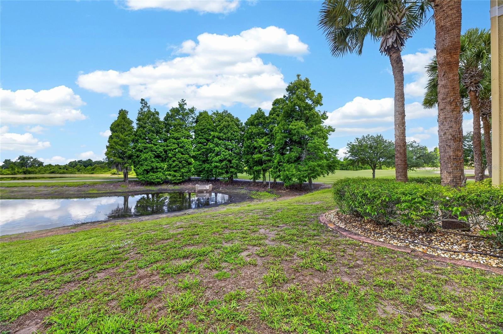 1423 EMERALD DUNES DR, SUN CITY CENTER, FL — photo 32