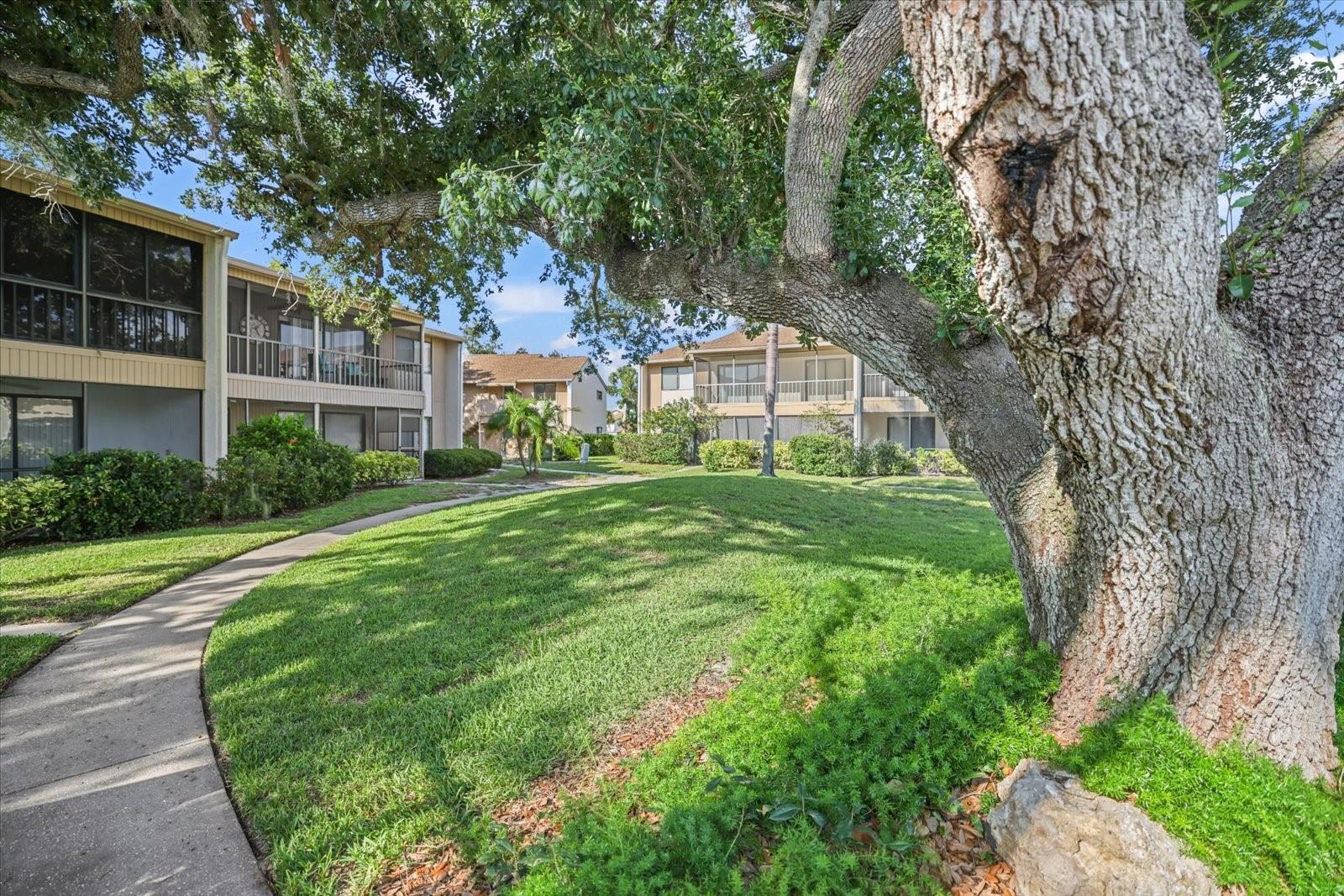 715 BIRD BAY CIR #120, VENICE, FL — photo 23