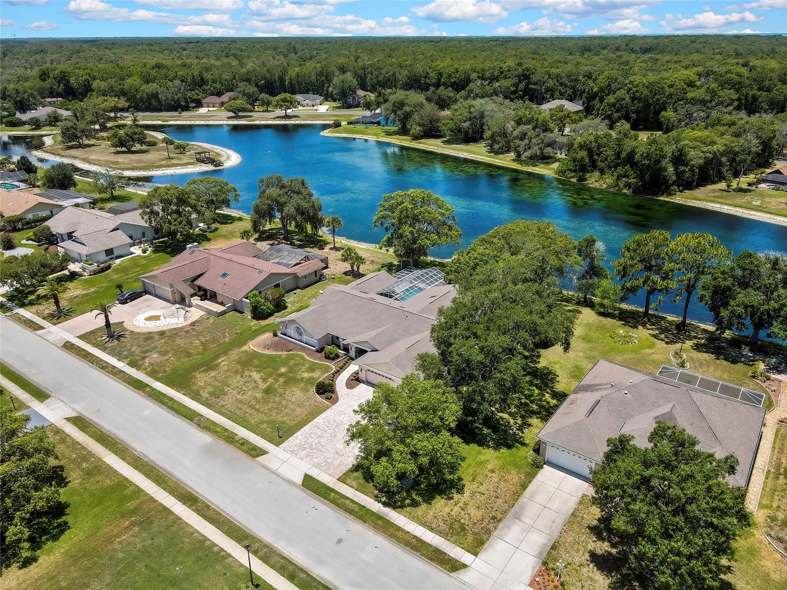 4293 RIVER BIRCH DR, SPRING HILL, FL — photo 2