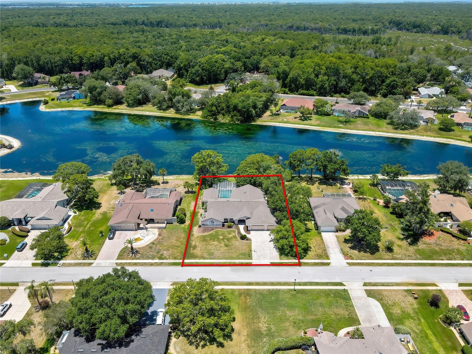 4293 RIVER BIRCH DR, SPRING HILL, FL — photo 3
