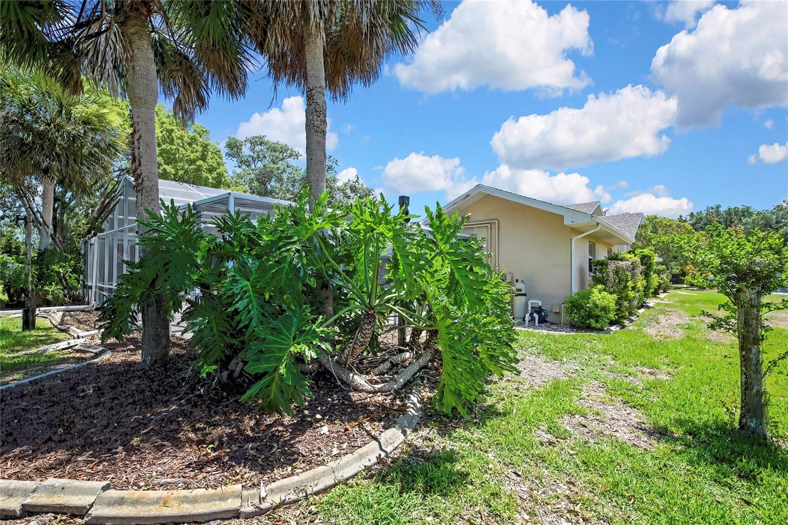 4293 RIVER BIRCH DR, SPRING HILL, FL — photo 60