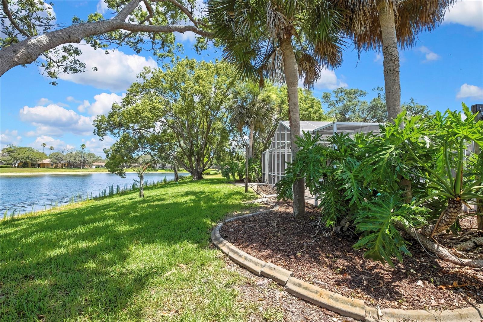 4293 RIVER BIRCH DR, SPRING HILL, FL — photo 61