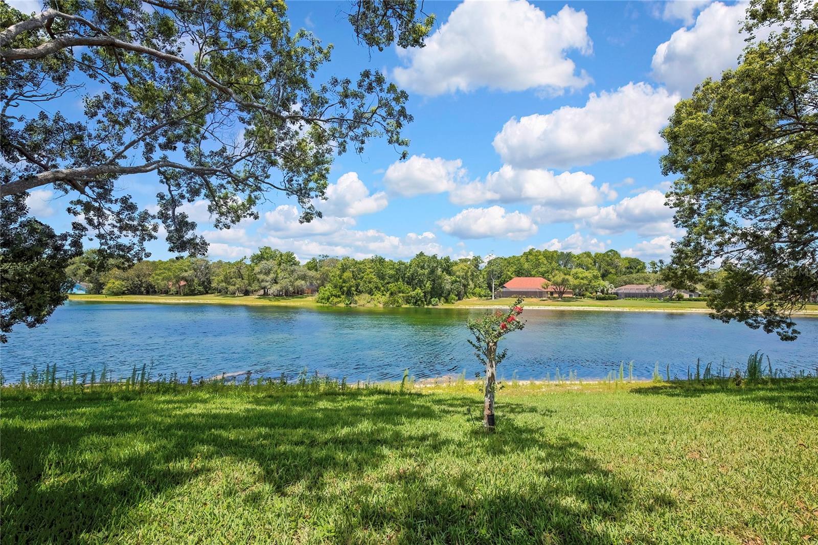 4293 RIVER BIRCH DR, SPRING HILL, FL — photo 62