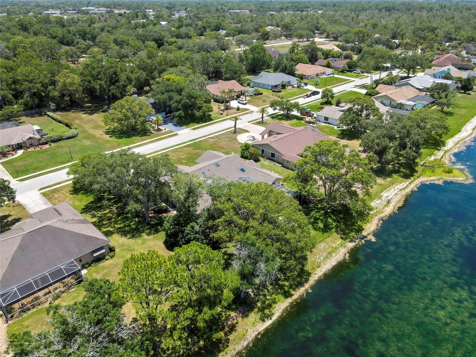 4293 RIVER BIRCH DR, SPRING HILL, FL — photo 74
