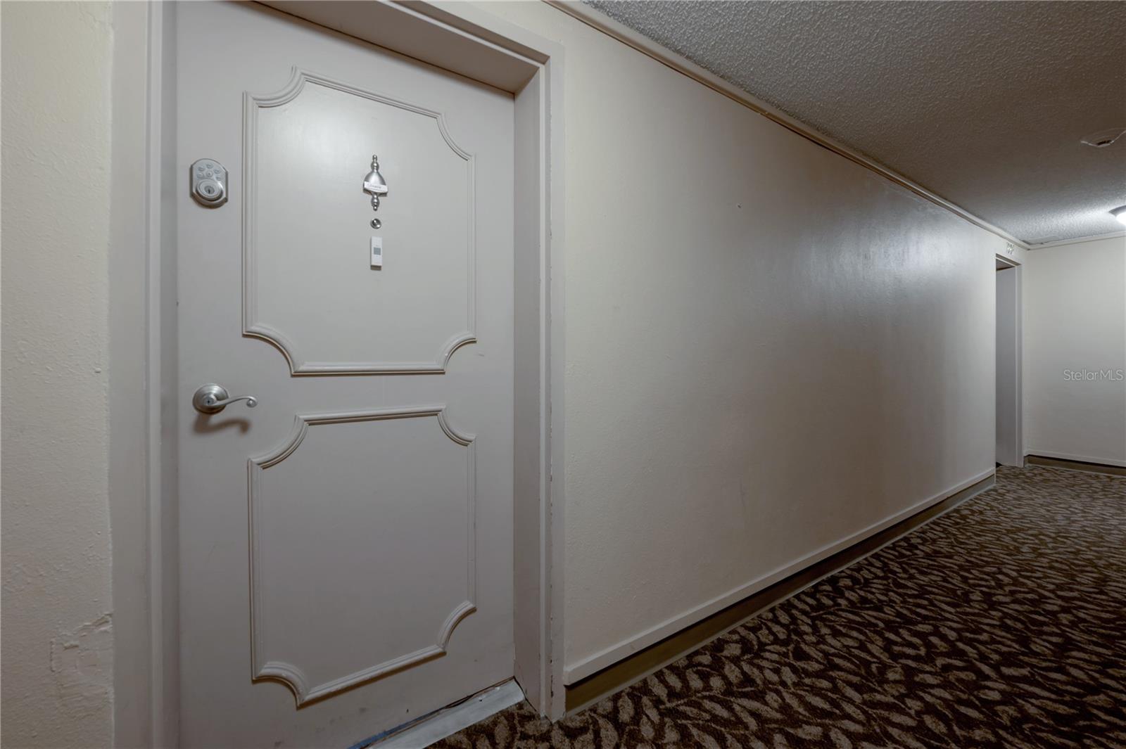 4141 BAYSHORE BLVD #1003, TAMPA, FL — photo 3