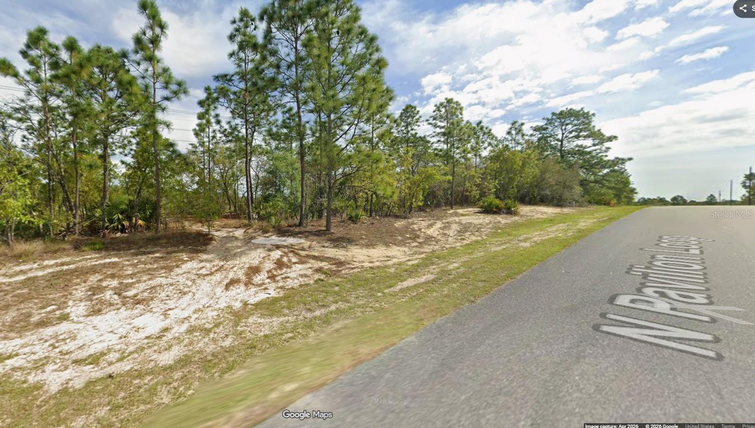 6770 N PAVILION LOOP, CITRUS SPRINGS, FL