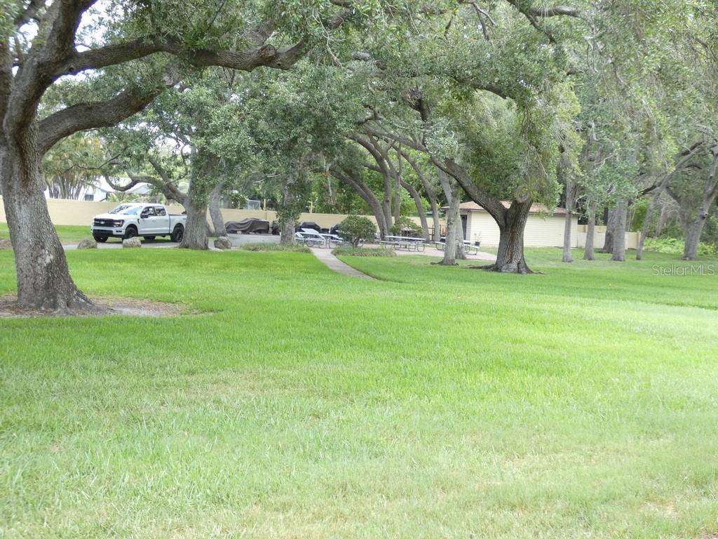 1701 PINEHURST RD #9G, DUNEDIN, FL — photo 16