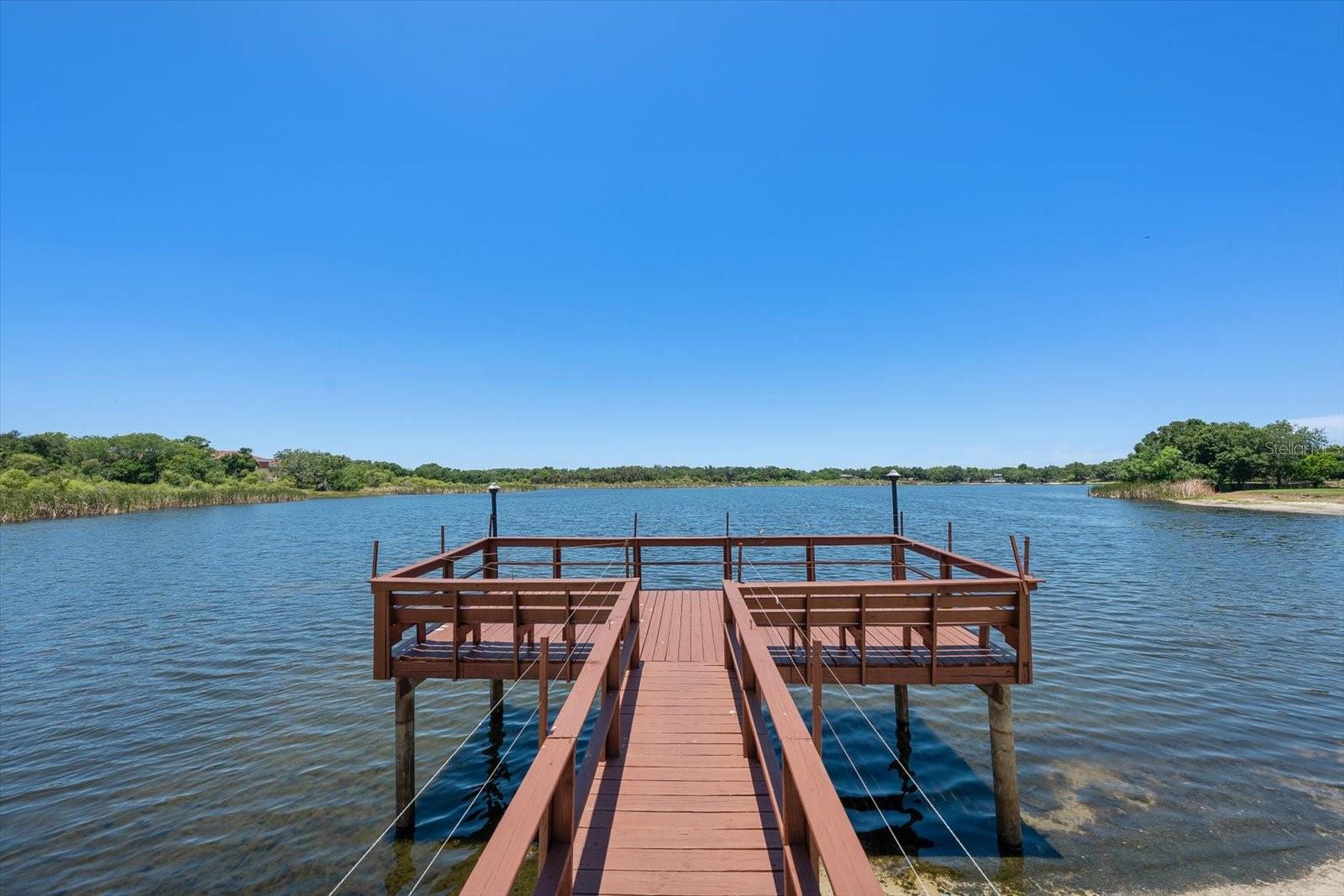 2069 LAKEVIEW DR, CLEARWATER, FL — photo 26