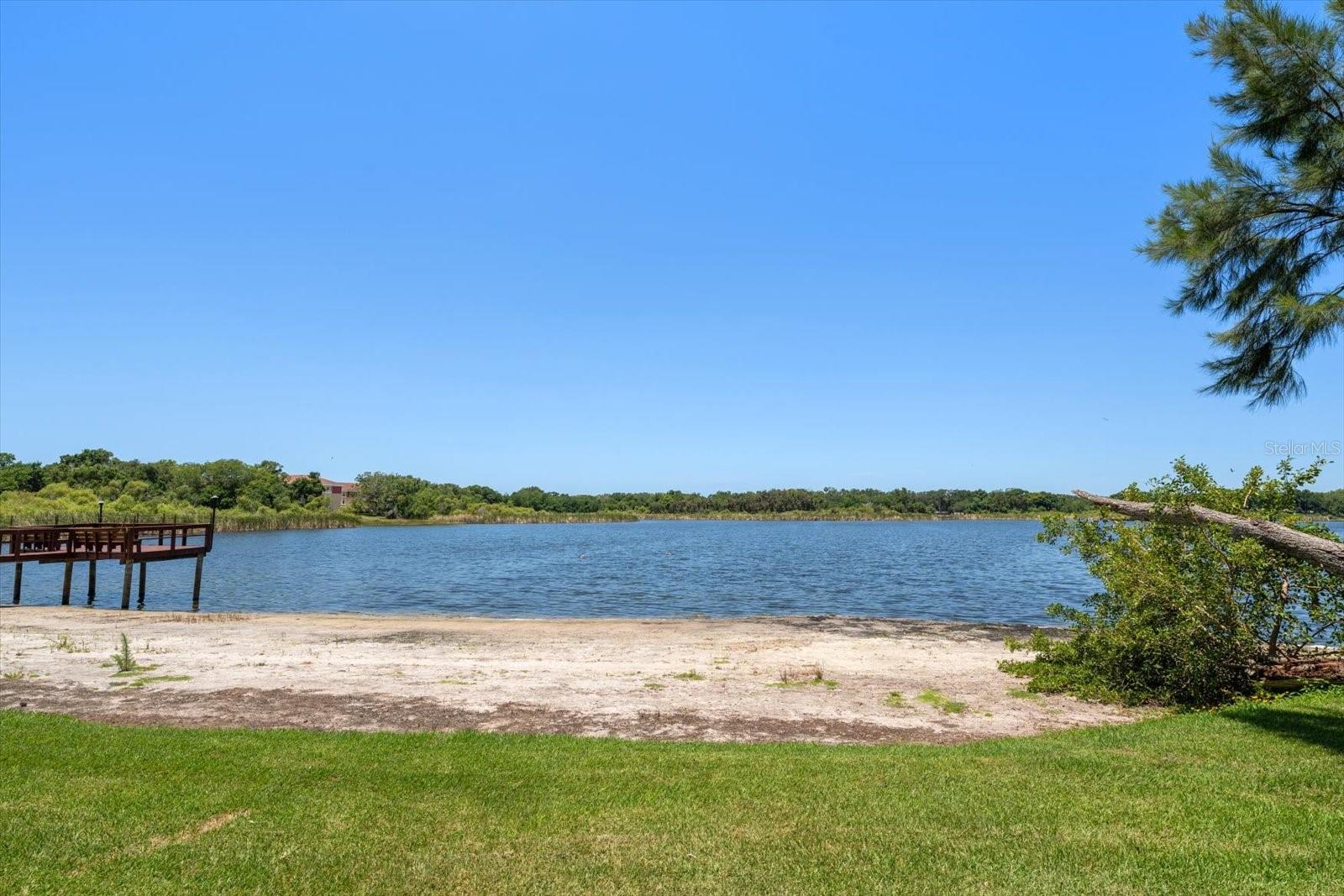 2069 LAKEVIEW DR, CLEARWATER, FL — photo 28