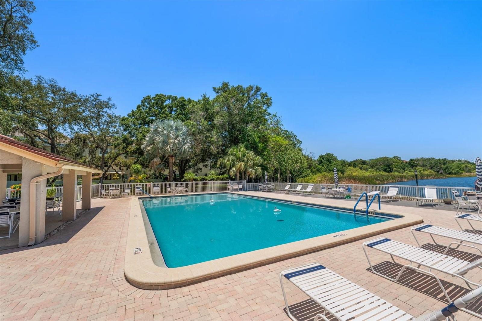 2069 LAKEVIEW DR, CLEARWATER, FL — photo 30