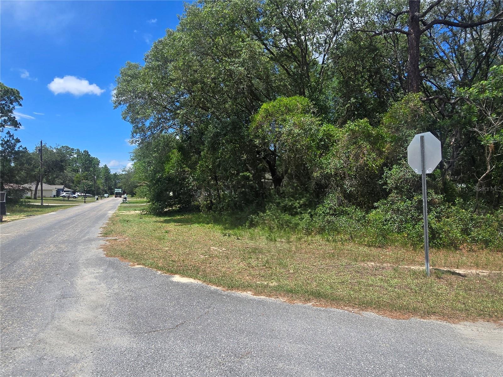 8467 N EMPIRE AVE, CITRUS SPRINGS, FL — photo 3