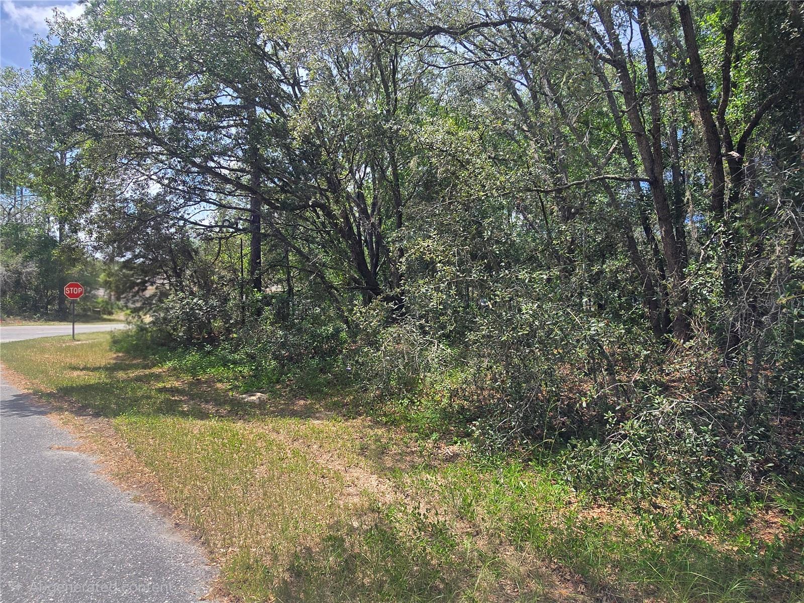 8467 N EMPIRE AVE, CITRUS SPRINGS, FL — photo 4
