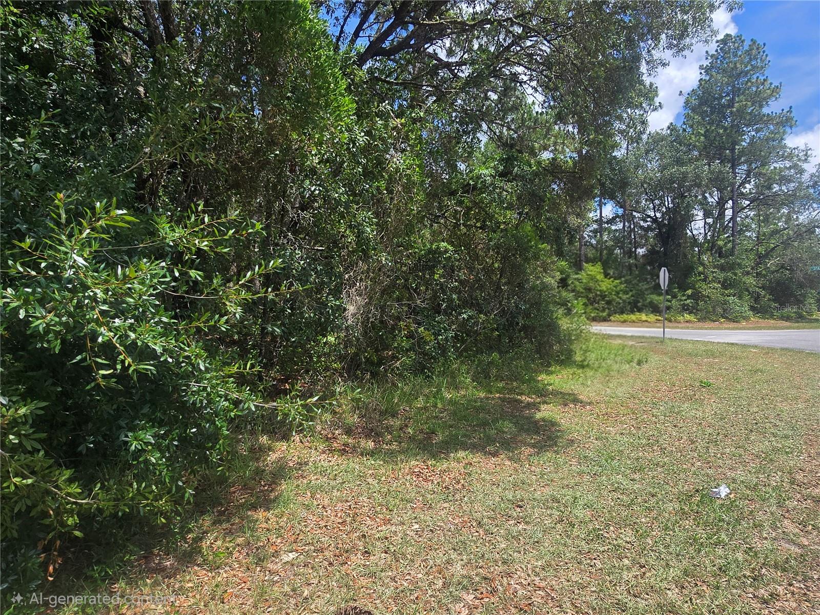 8467 N EMPIRE AVE, CITRUS SPRINGS, FL — photo 5