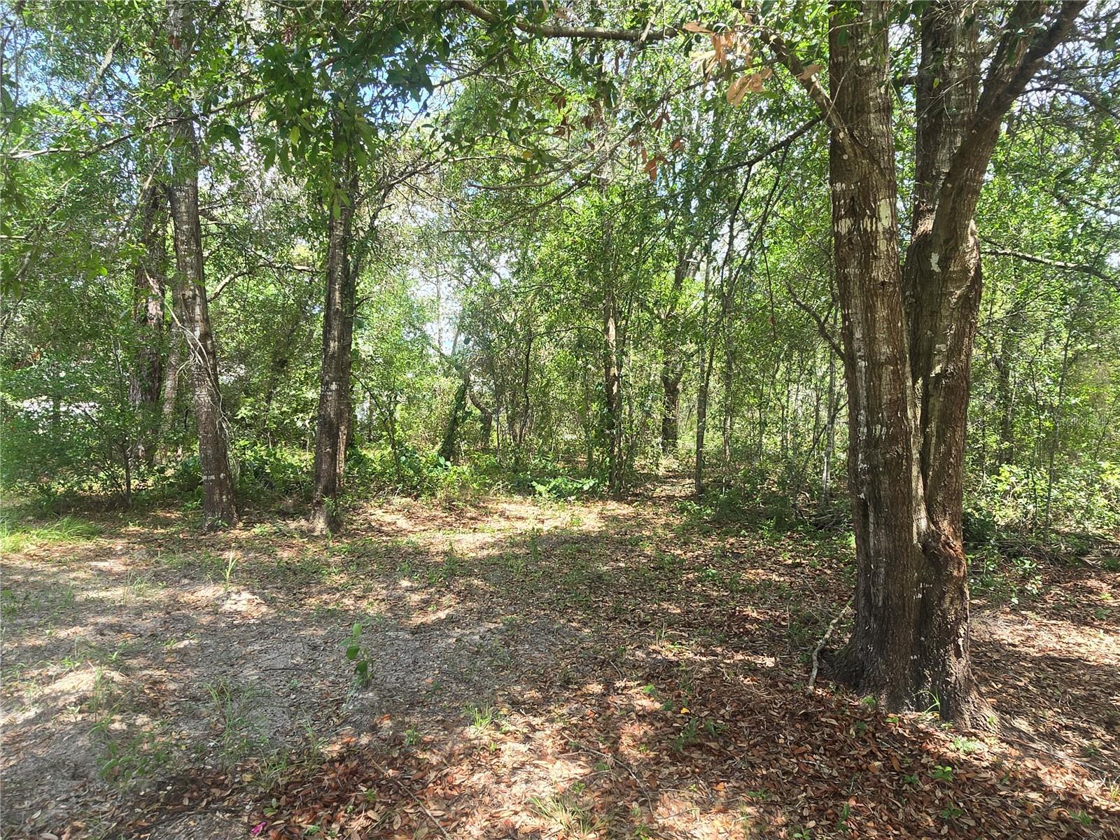 8467 N EMPIRE AVE, CITRUS SPRINGS, FL — photo 11