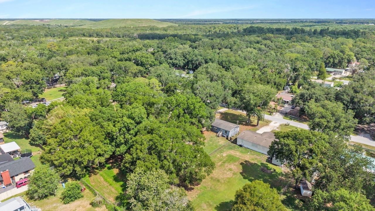 509 SHARON HILL CT, WINTER HAVEN, FL — photo 48