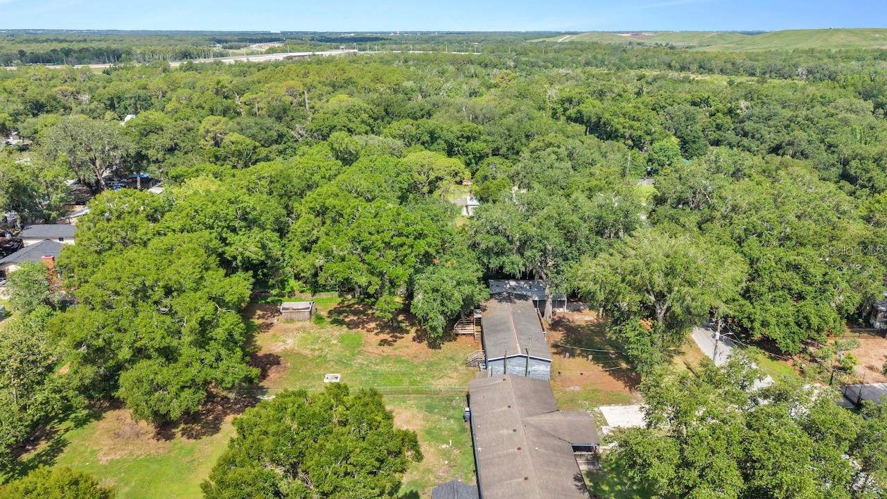 509 SHARON HILL CT, WINTER HAVEN, FL — photo 53