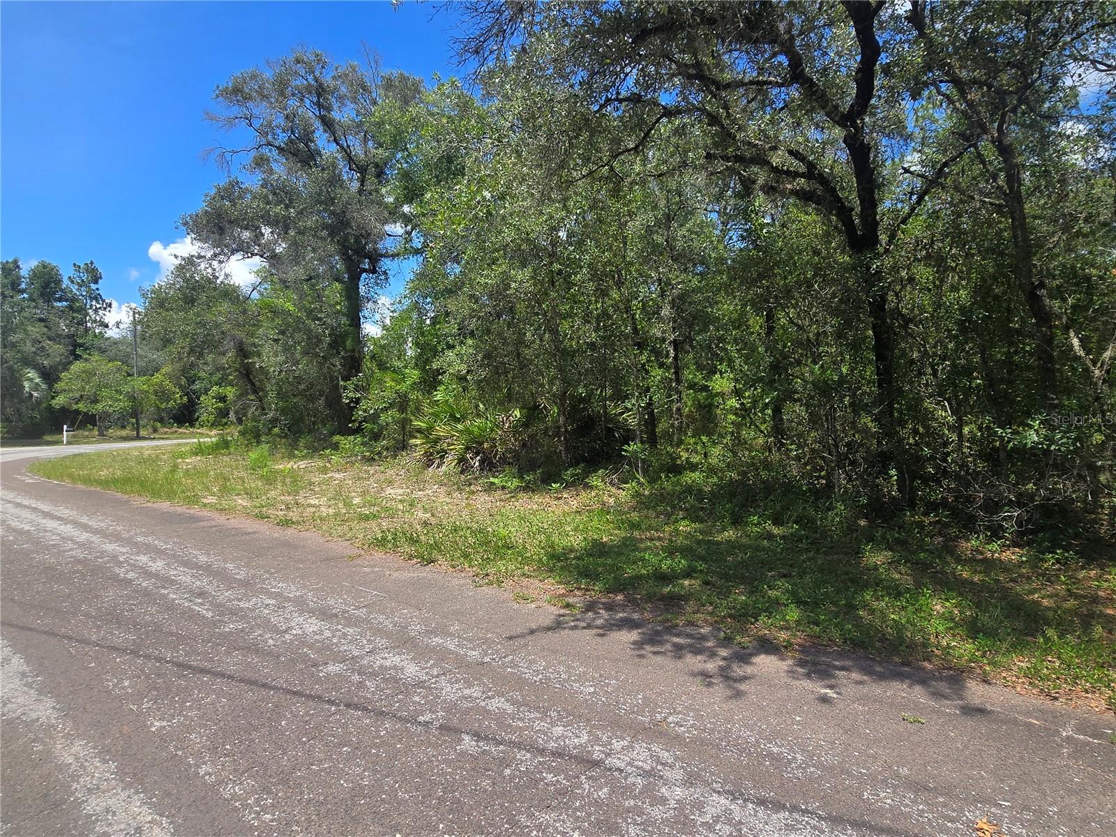 8365 N IBSEN DR, CITRUS SPRINGS, FL — photo 2