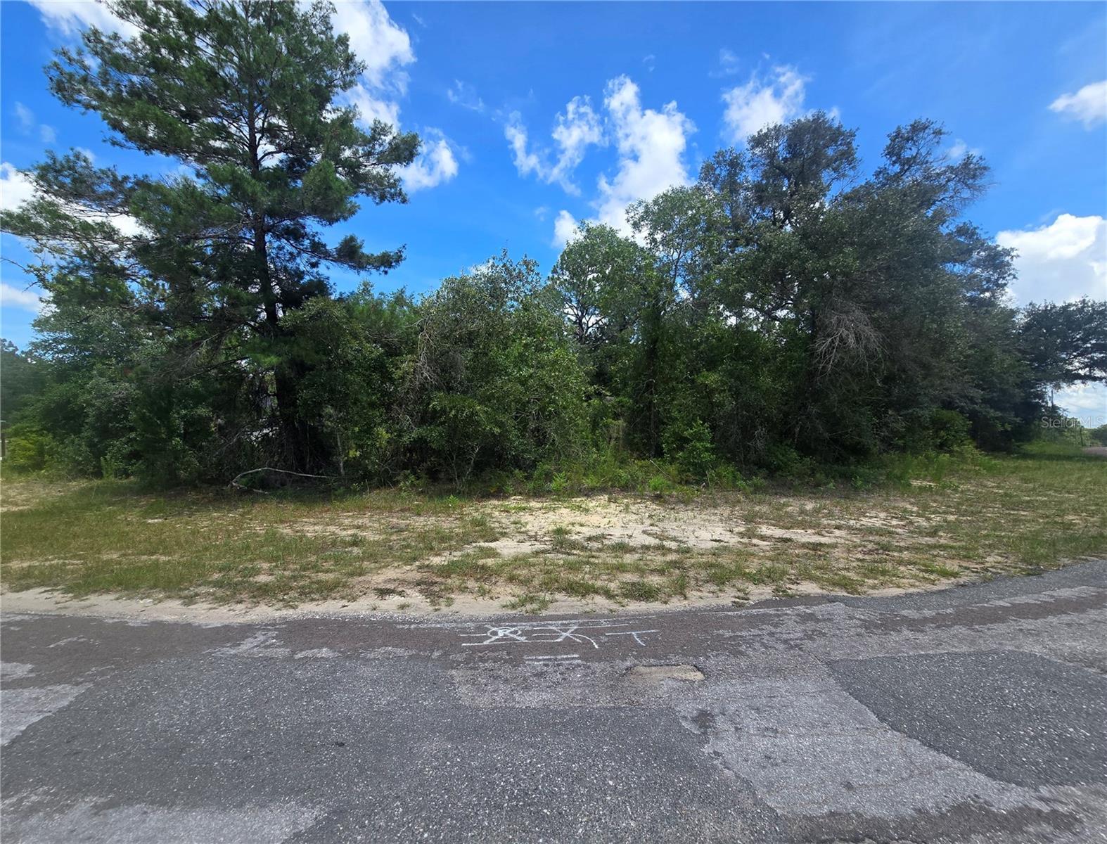 8365 N IBSEN DR, CITRUS SPRINGS, FL — photo 3