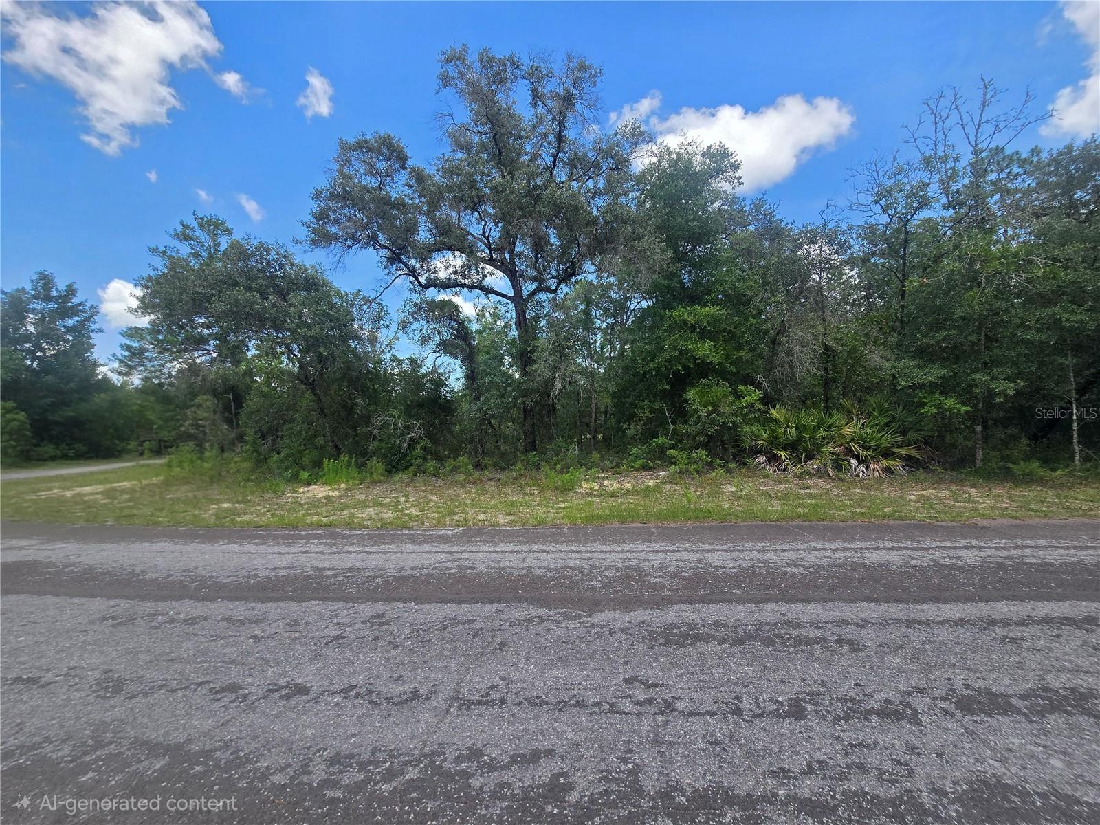 8365 N IBSEN DR, CITRUS SPRINGS, FL — photo 4
