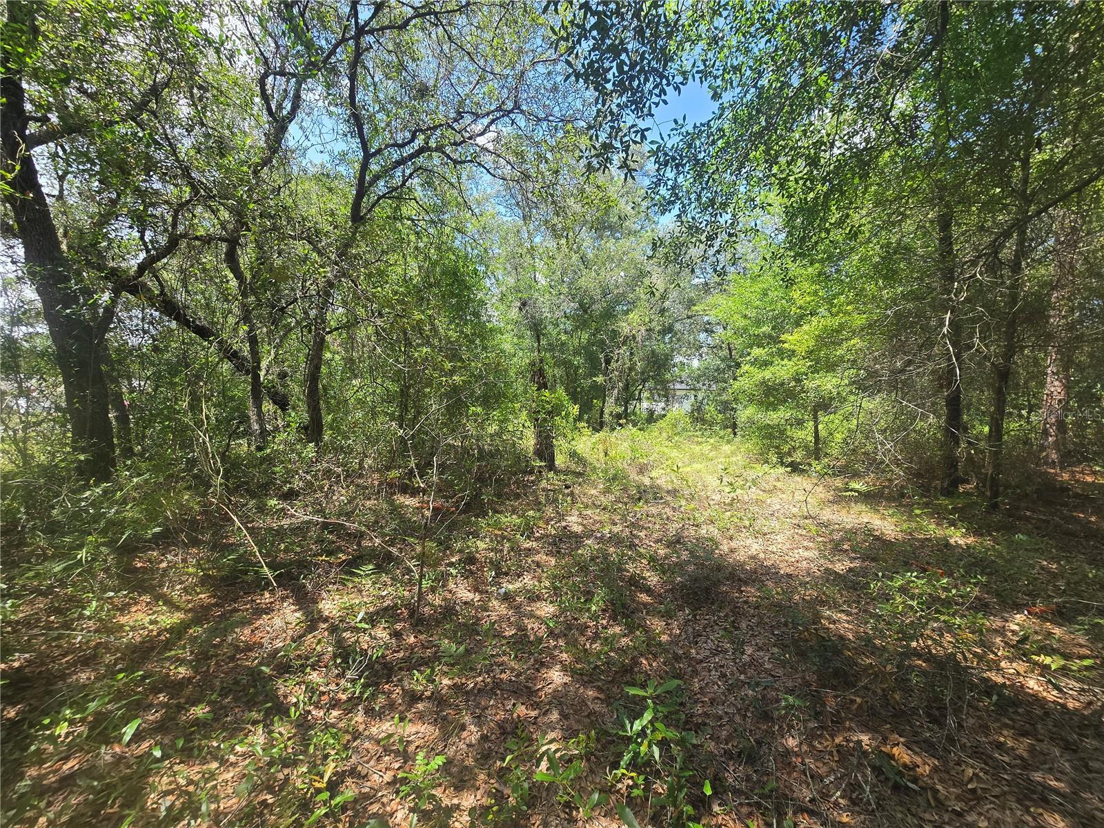 8365 N IBSEN DR, CITRUS SPRINGS, FL — photo 10