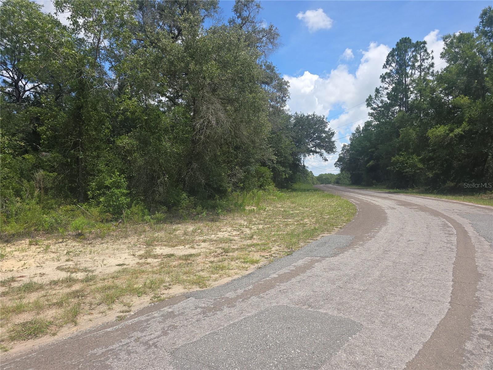 8365 N IBSEN DR, CITRUS SPRINGS, FL — photo 11