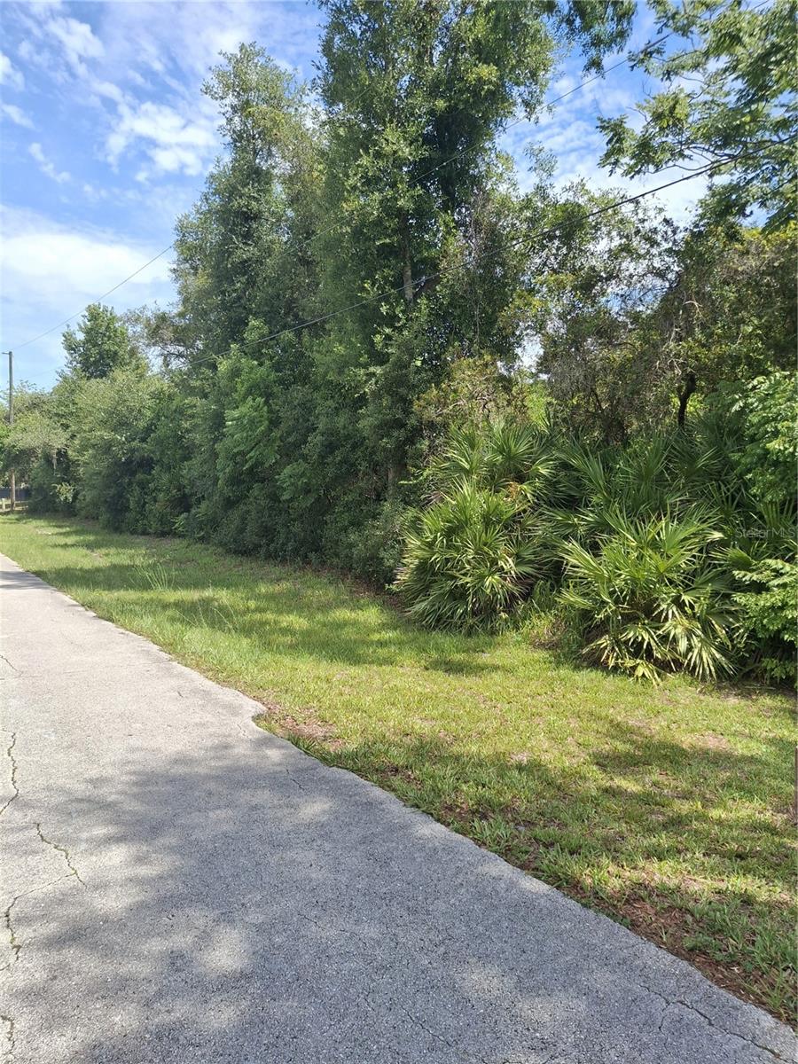 885 E LEHIGH DR, DELTONA, FL — photo 2