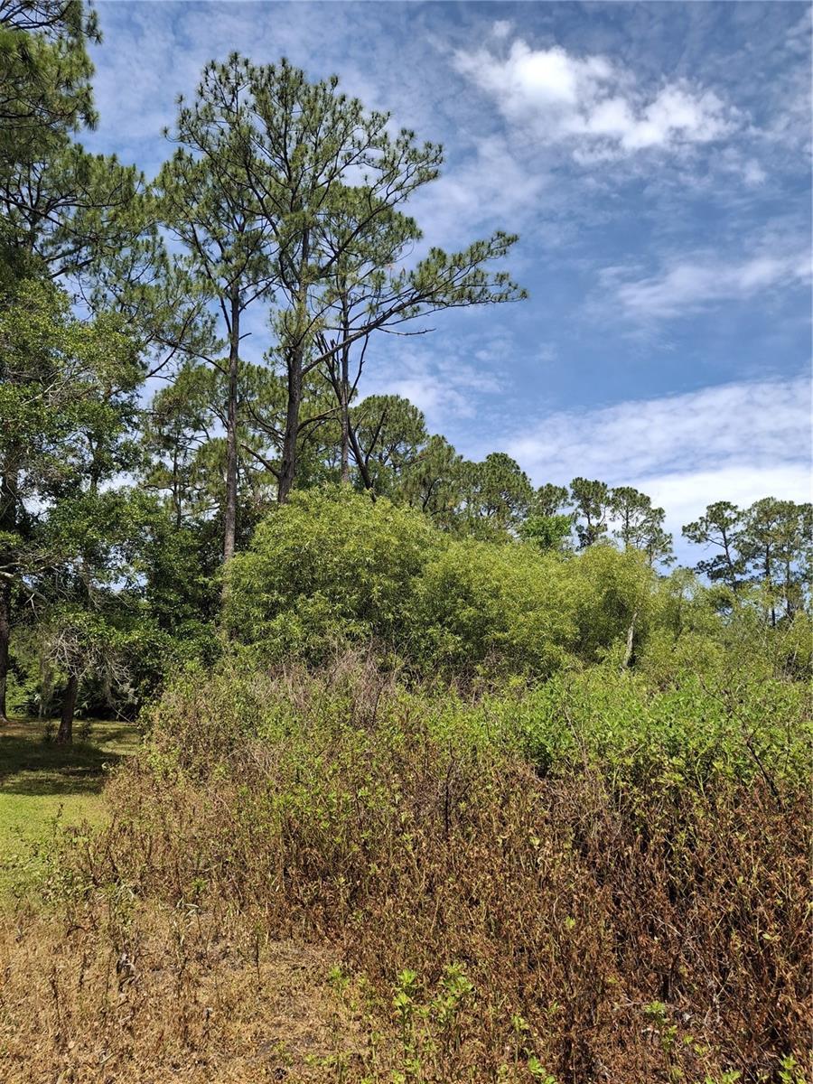 885 E LEHIGH DR, DELTONA, FL — photo 3