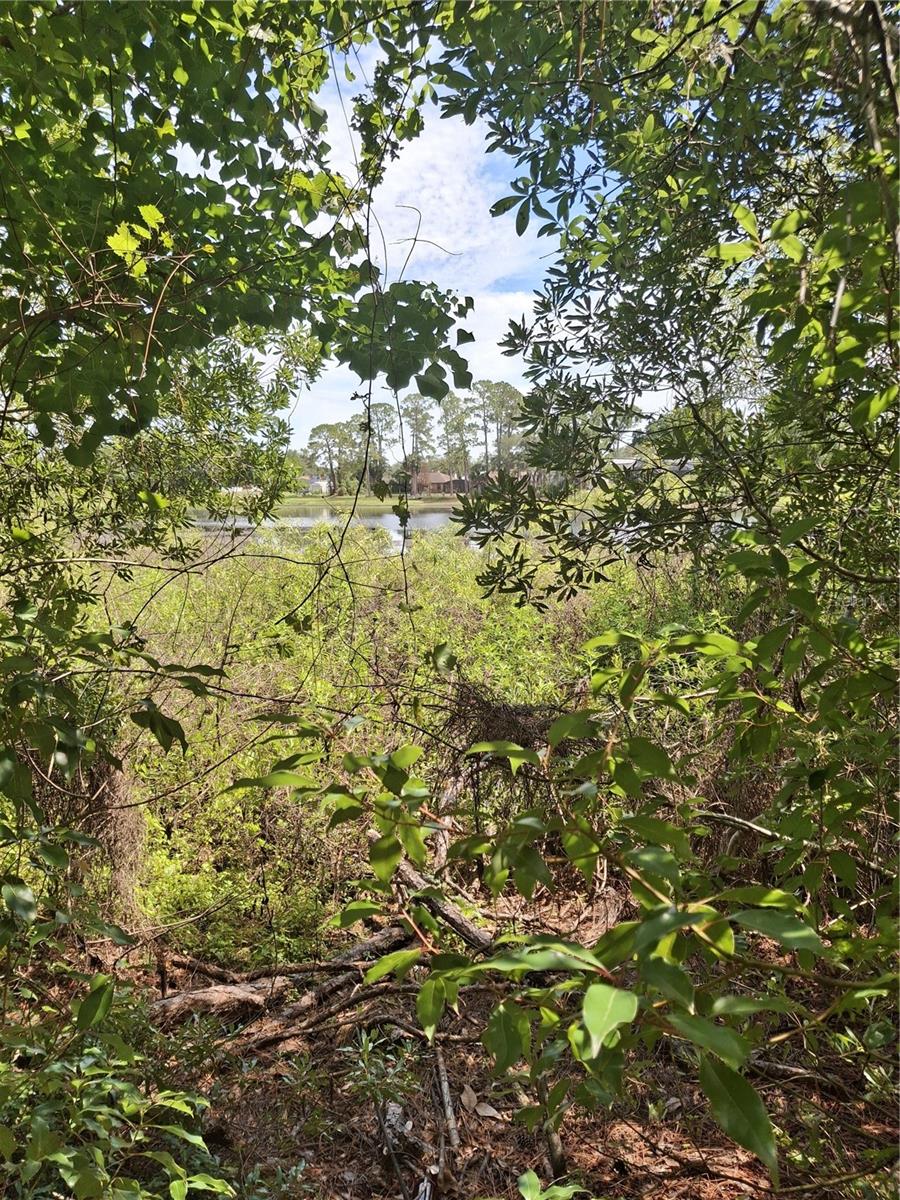 885 E LEHIGH DR, DELTONA, FL — photo 5