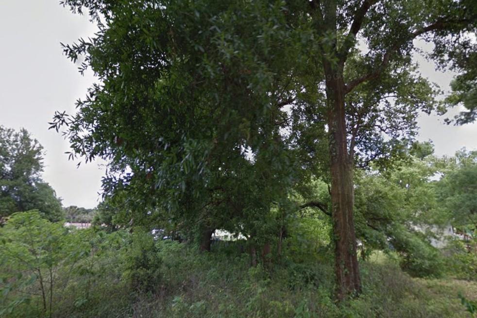 Lot 28 NW 21ST AVE, OCALA, FL — photo 2