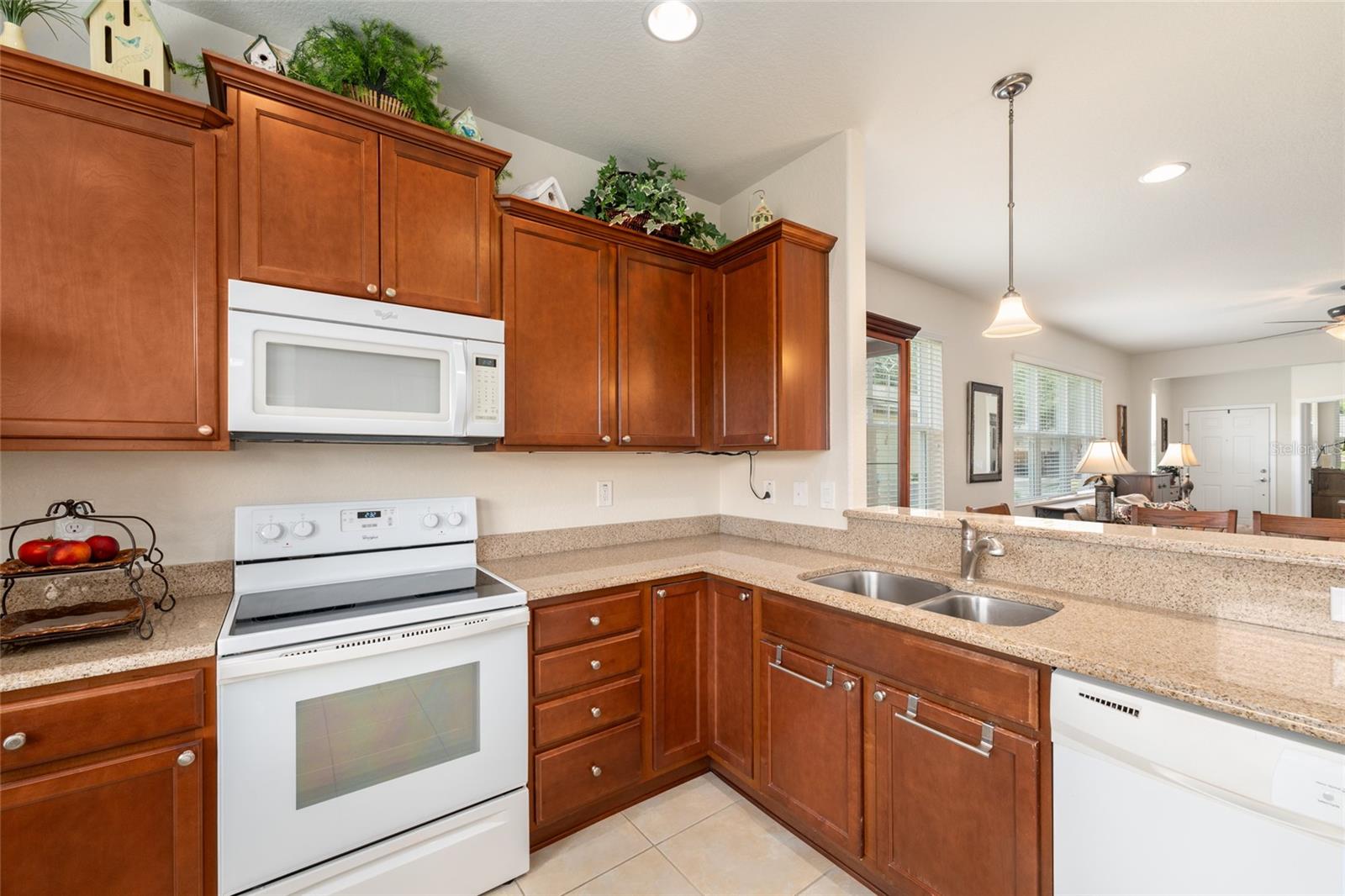9098 SW 70TH LOOP, OCALA, FL — photo 20
