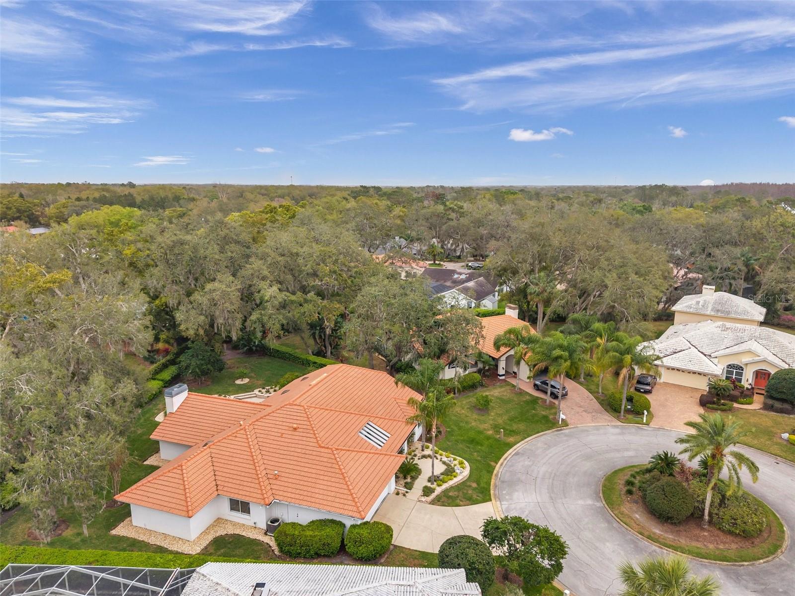 5473 BLUE HERON LN, WESLEY CHAPEL, FL — photo 7