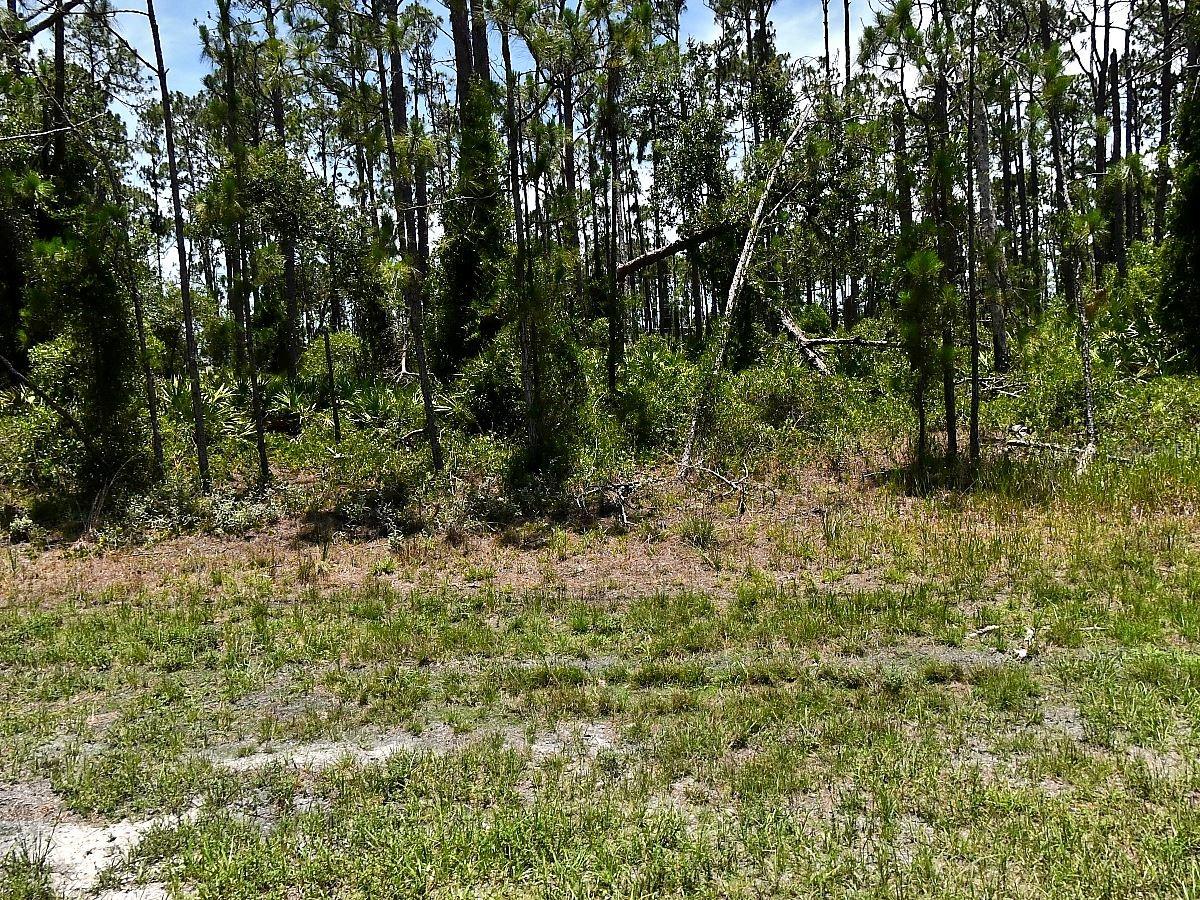 TROPICAIRE BLVD, NORTH PORT, FL