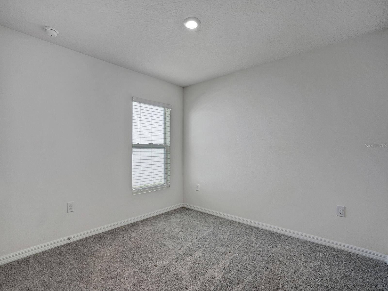 5586 LOGAN CAVE AVE, WIMAUMA, FL — photo 27
