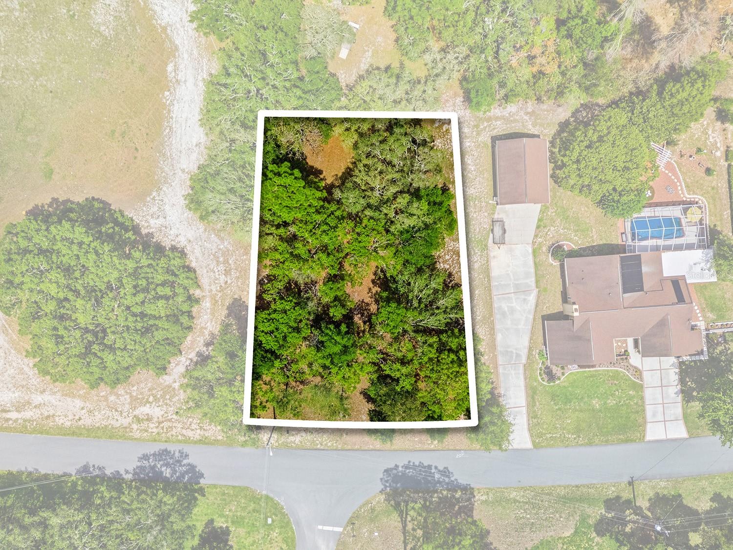 1228 STATEN AVE, SPRING HILL, FL