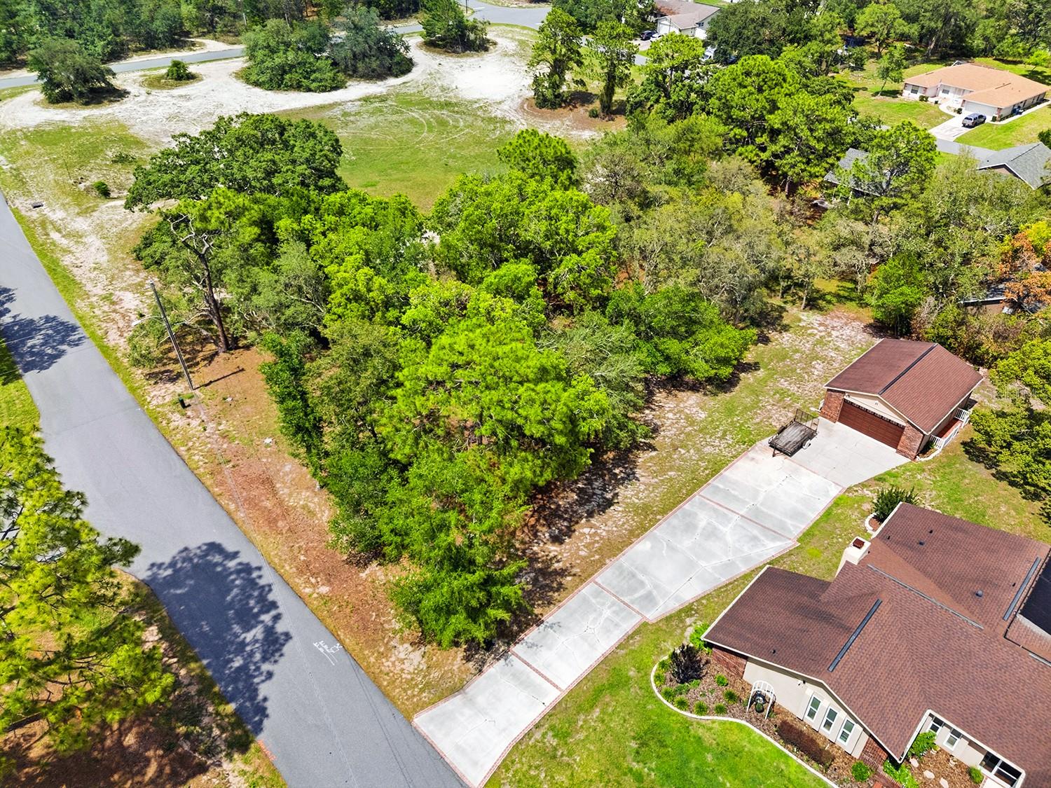 1228 STATEN AVE, SPRING HILL, FL — photo 3