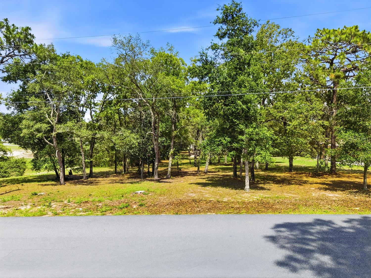 1228 STATEN AVE, SPRING HILL, FL — photo 4