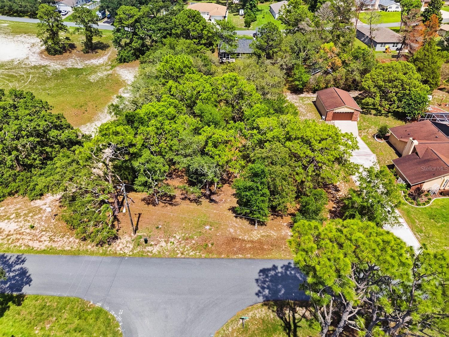 1228 STATEN AVE, SPRING HILL, FL — photo 6