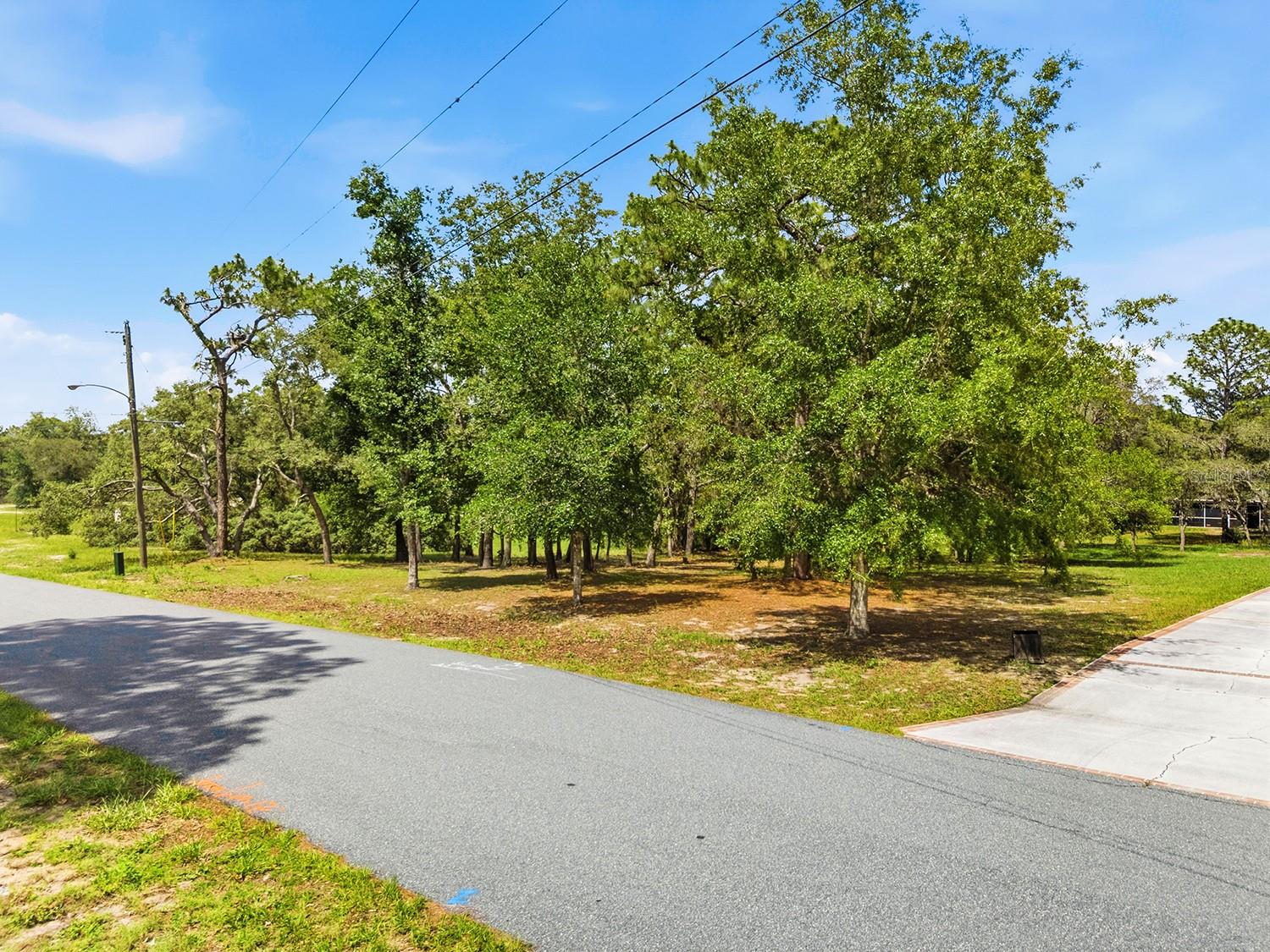 1228 STATEN AVE, SPRING HILL, FL — photo 7