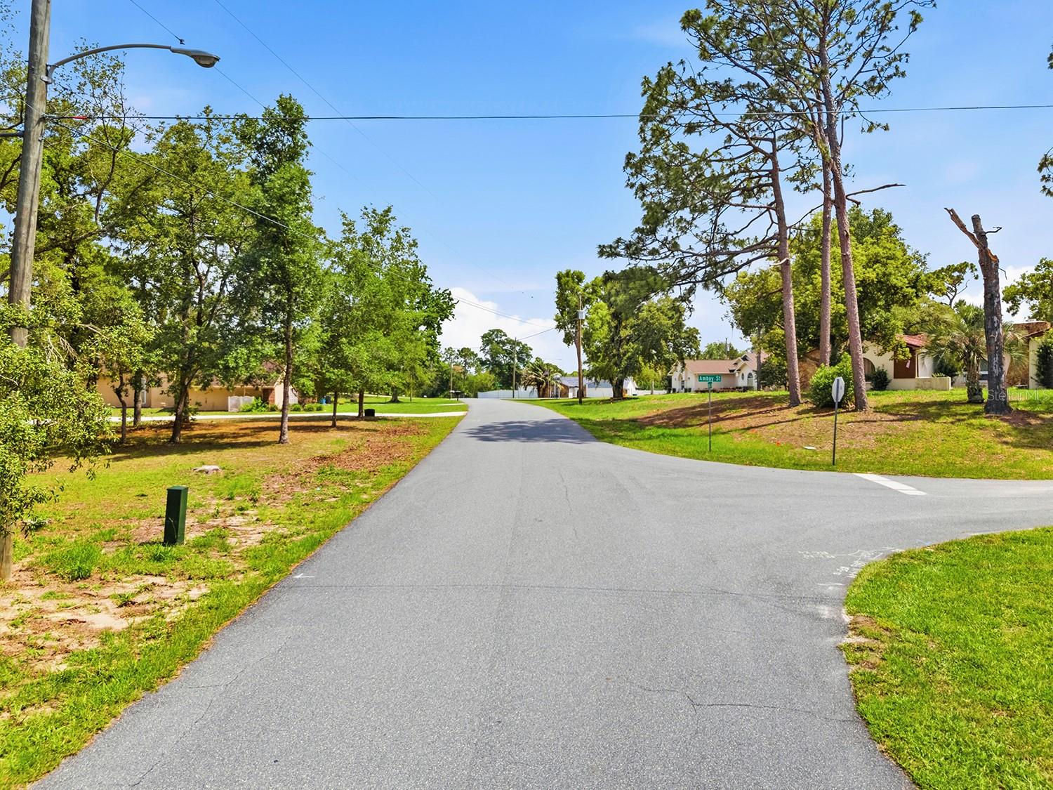 1228 STATEN AVE, SPRING HILL, FL — photo 8